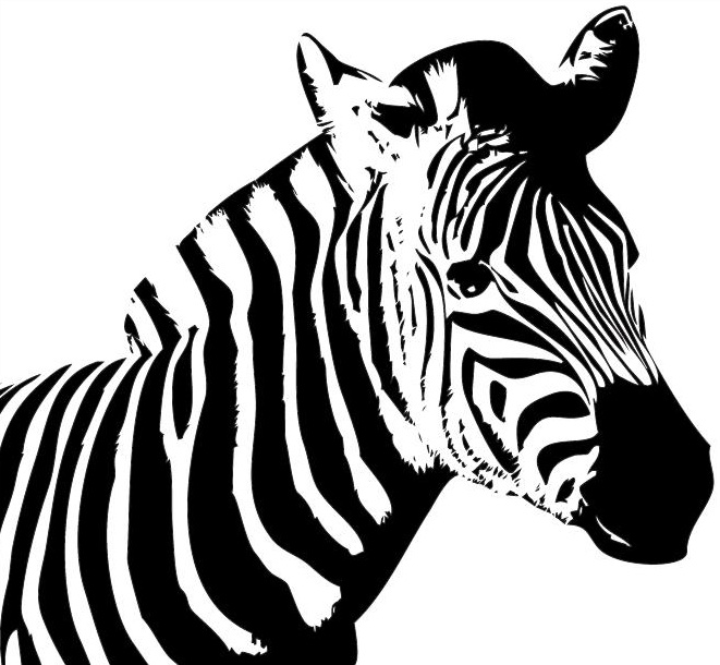 Краска алкидная зебра купить